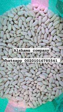 Public product photo - We are Alshams company for general import and export from egypt.🇪🇬
We can supply all kinds of agricultural products with high quality and best price
Now will offer ✨white beans ✨
For more information contact With us💥
Whatsapp : 00201016785541
Email : alshams.info@yahoo.com
And visit our website :www.alshamsexporting.com
Sales manager
Mrs / donia mostafa
